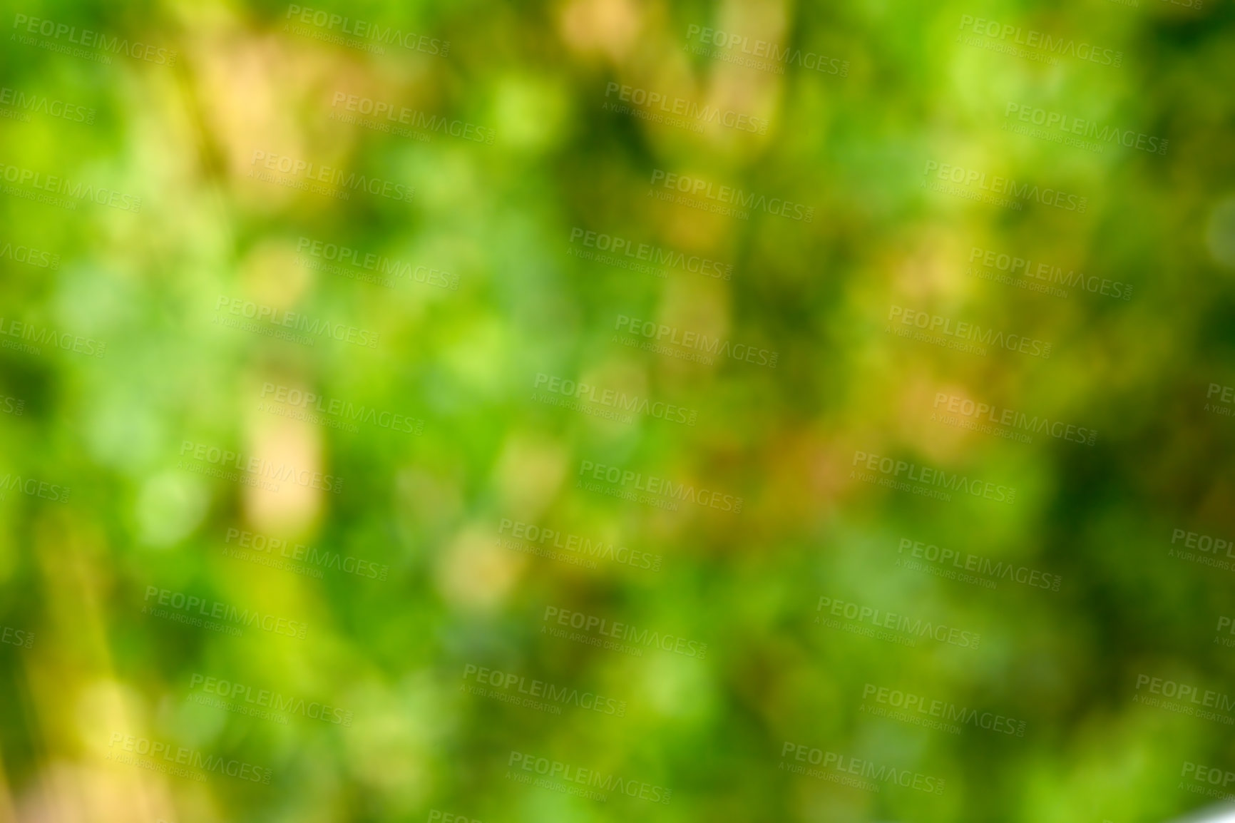 Buy stock photo Defocused and blurred view of a natural green plant background with copy space. Unfocused greenery in a lush front yard, backyard, forest or woods with bush foliage on a sunny summer day