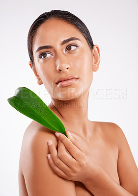 Buy stock photo Studio shot of a beautiful young woman holding a eucalyptus leaf against a gray background