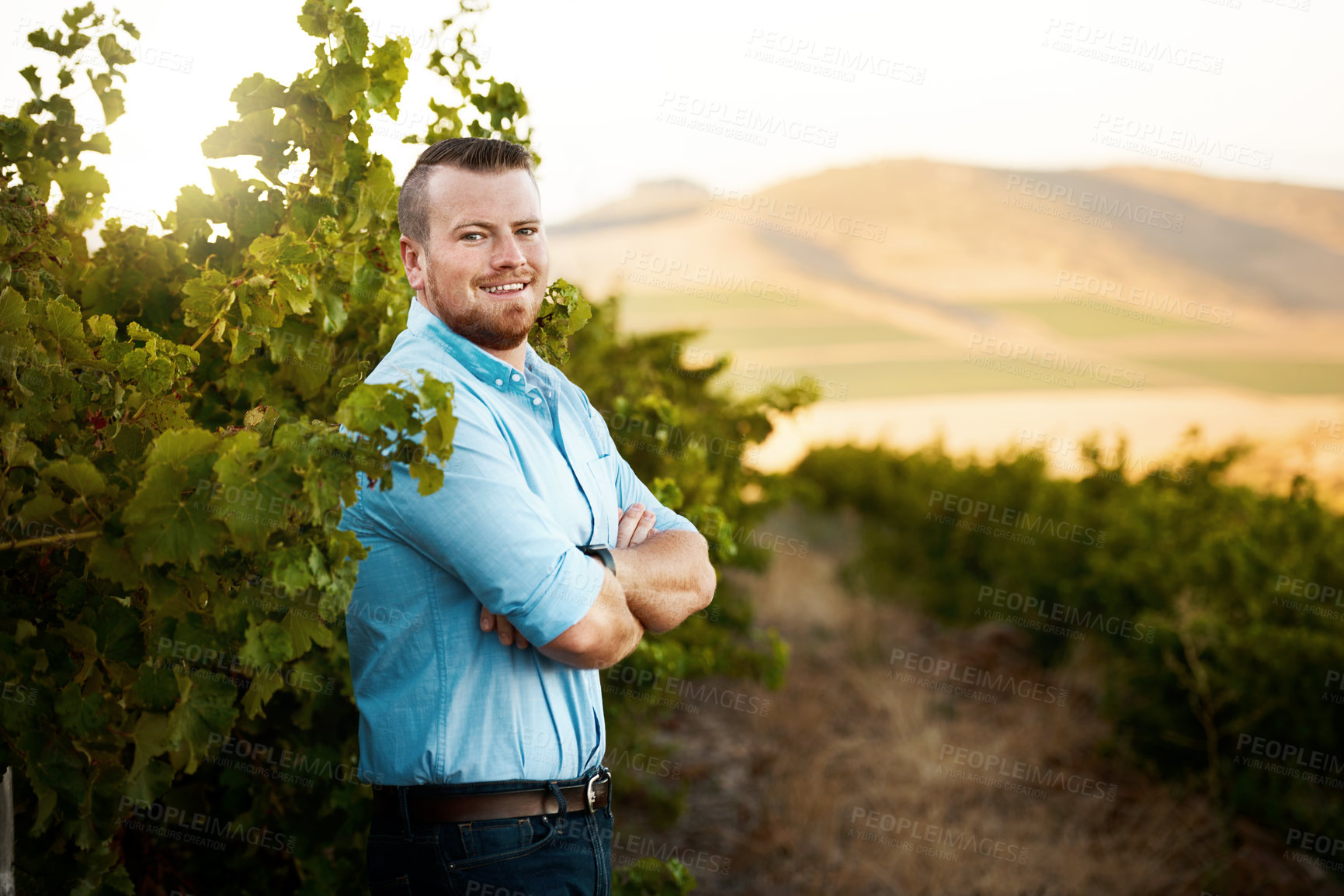 Buy stock photo Farmer, happy and man with portrait in vineyard for agriculture, growth management or sustainability with arms crossed. Professional, person or smile on grape field in countryside for produce control