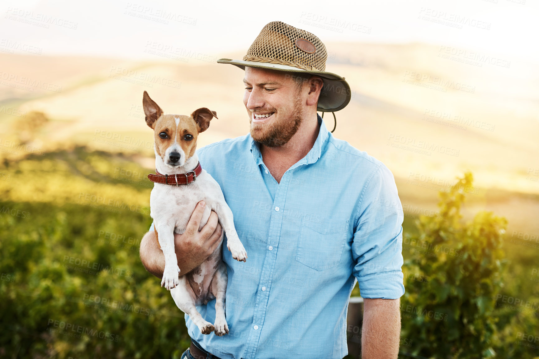 Buy stock photo Shot of a farmer holding his dog in a vineyard