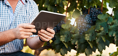 Buy stock photo Closeup shot of a farmer using a digital tablet working in a vineyard