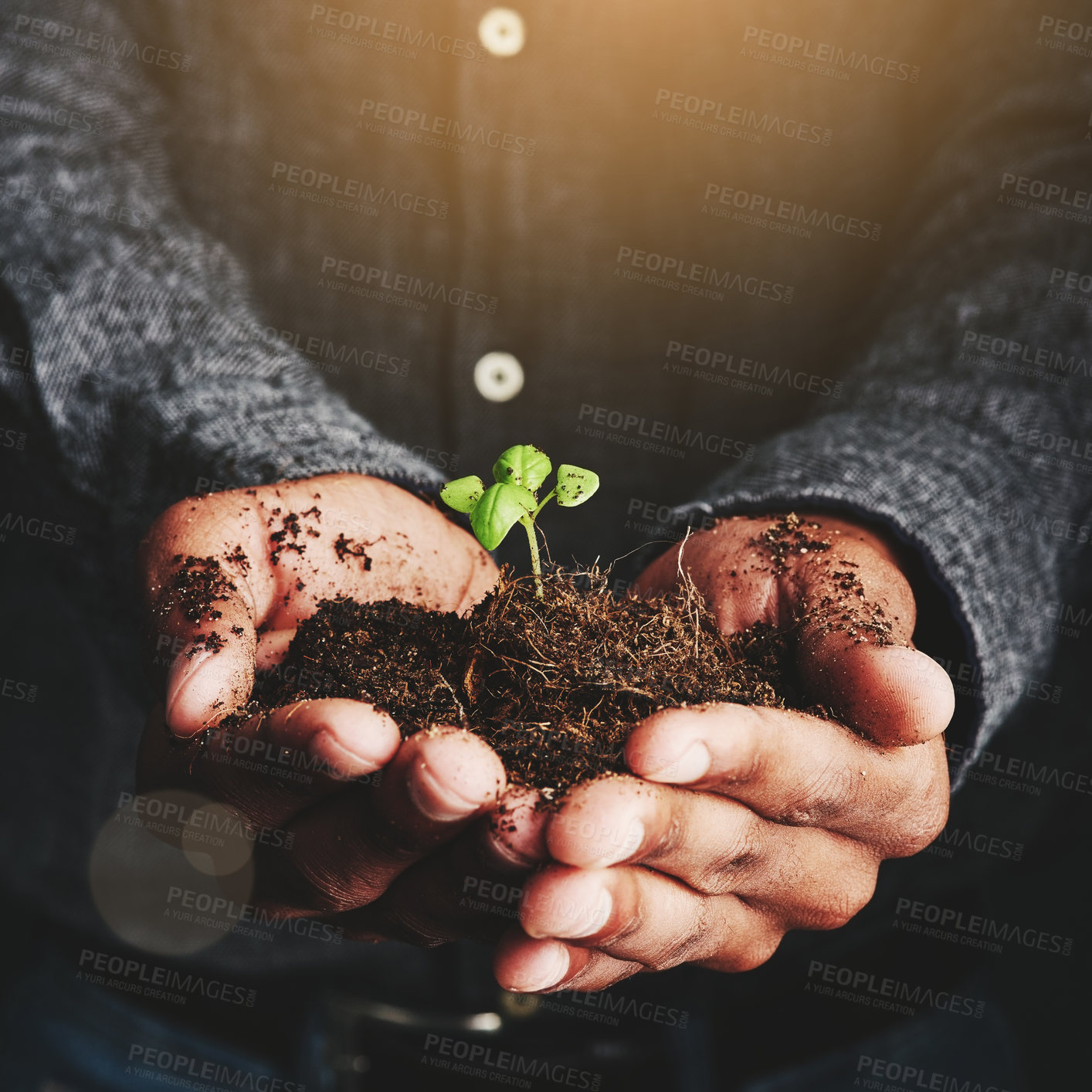Buy stock photo Cropped shot of an unrecognizable man holding a budding plant