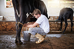 Milking a cow