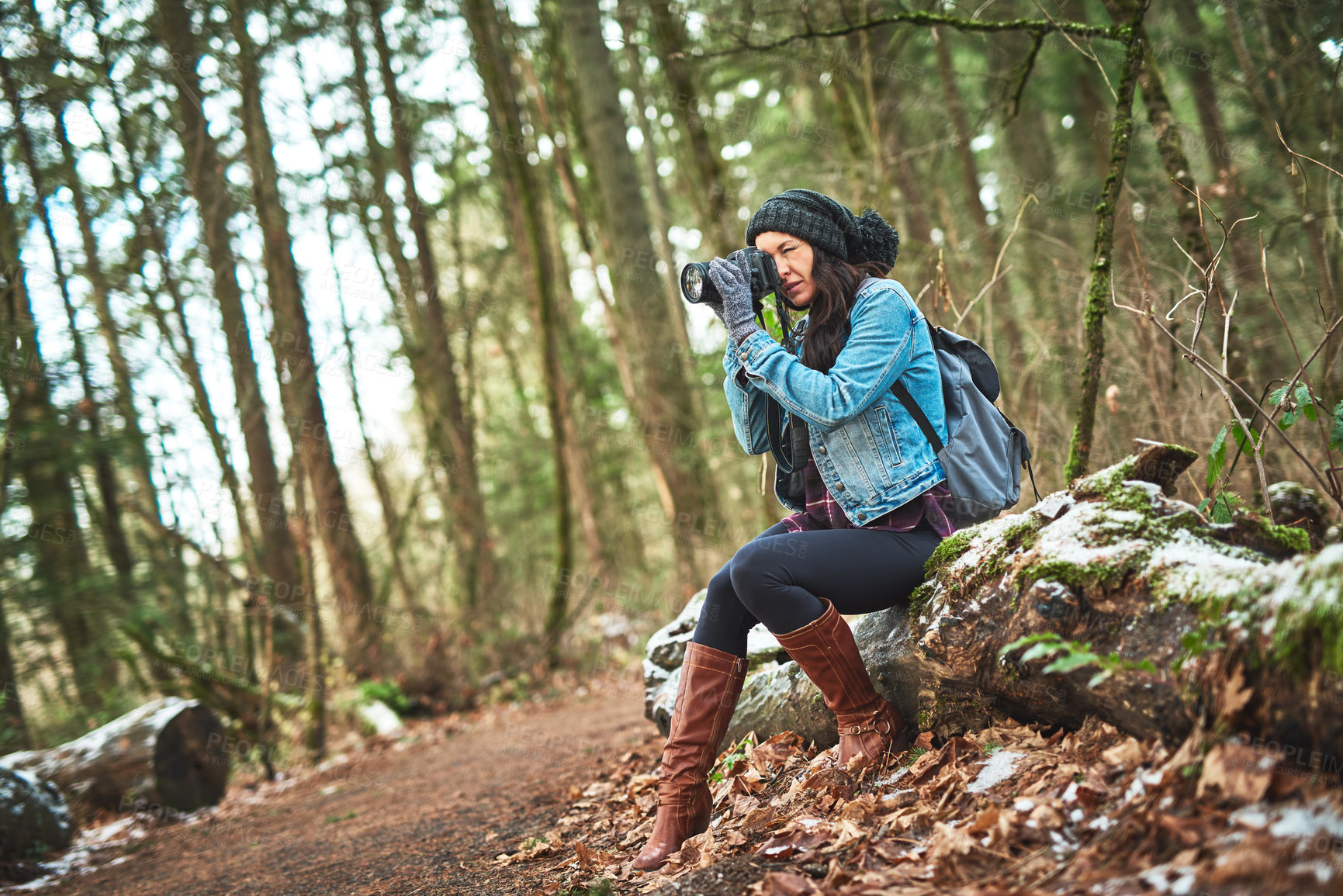 Buy stock photo Woman, nature photographer and camera in forest with research project to save indigenous trees. Person, photoshoot and perspective in woods with conservation to stop deforestation in Costa Rica