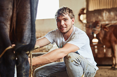 Buy stock photo Happy man, portrait and farmer with cow for milk, fresh produce or calcium in natural growth, agriculture or sustainability. Male person with live cattle for production, resources or dairy farming