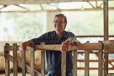 Buy stock photo Senior man, farmer and portrait in barn with pride, happiness and sustainable business. Agro, elderly rancher and smile on estate for industry growth, environment responsibility and livestock farming