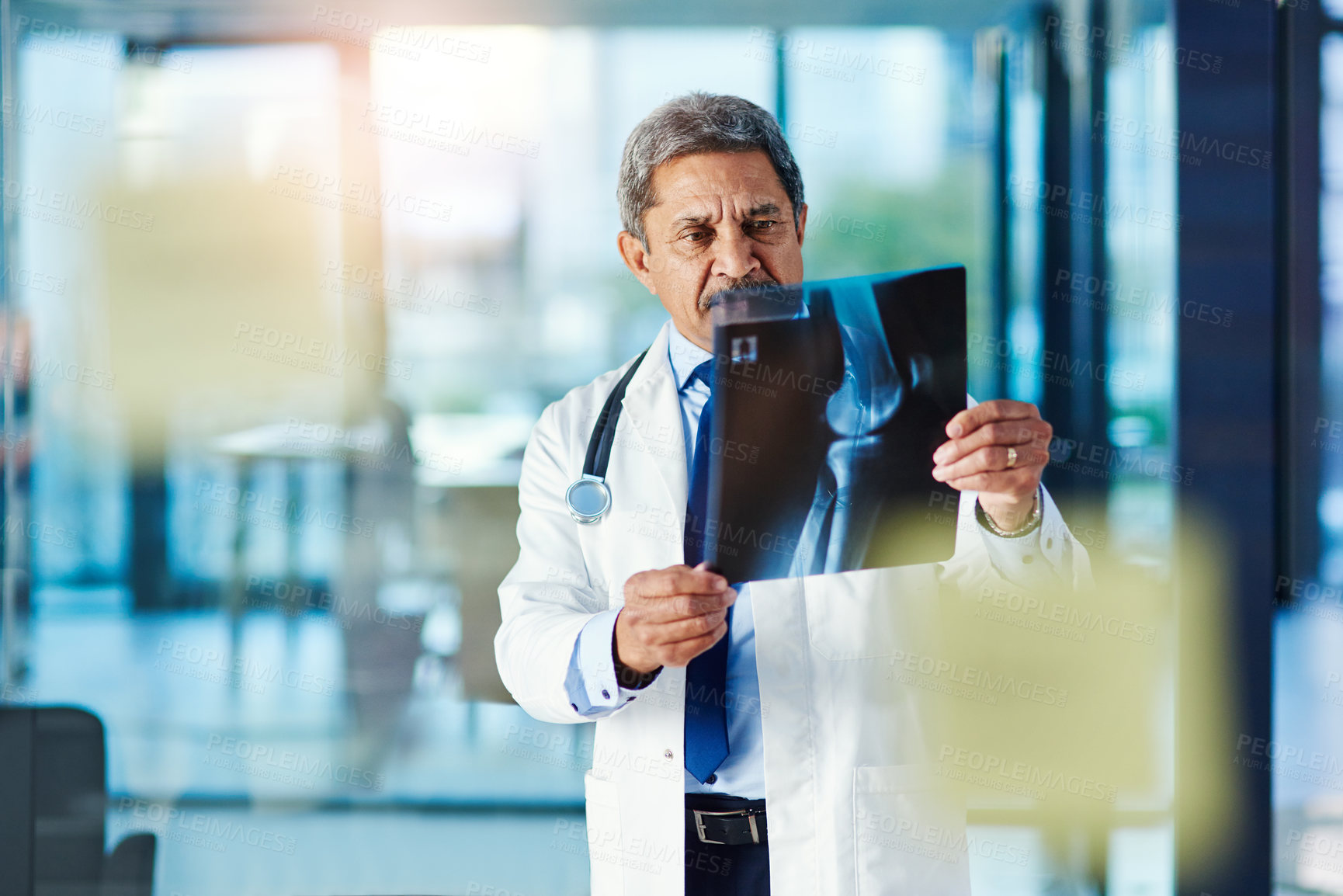 Buy stock photo Shot of a doctor analyzing an x-ray in a hospital