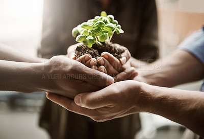 Buy stock photo Community hands together holding plant life for growth, support and a green natural lifestyle. Closeup of team taking care of nature and plants. Group working together for the future and happy earth