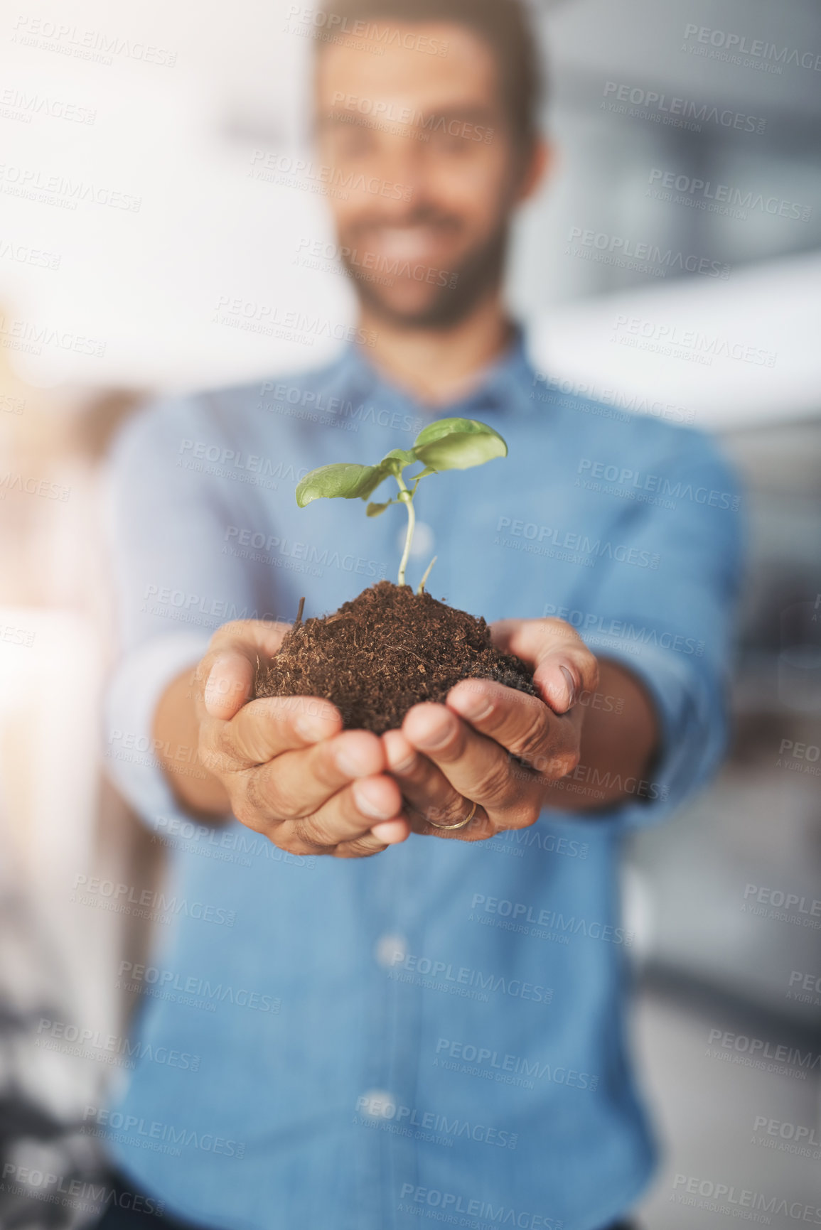 Buy stock photo Soil, hands and business man with plant for company growth, investment or startup development. Ecology, environment and palms of employee with fertiliser for profit, sustainability or opportunity