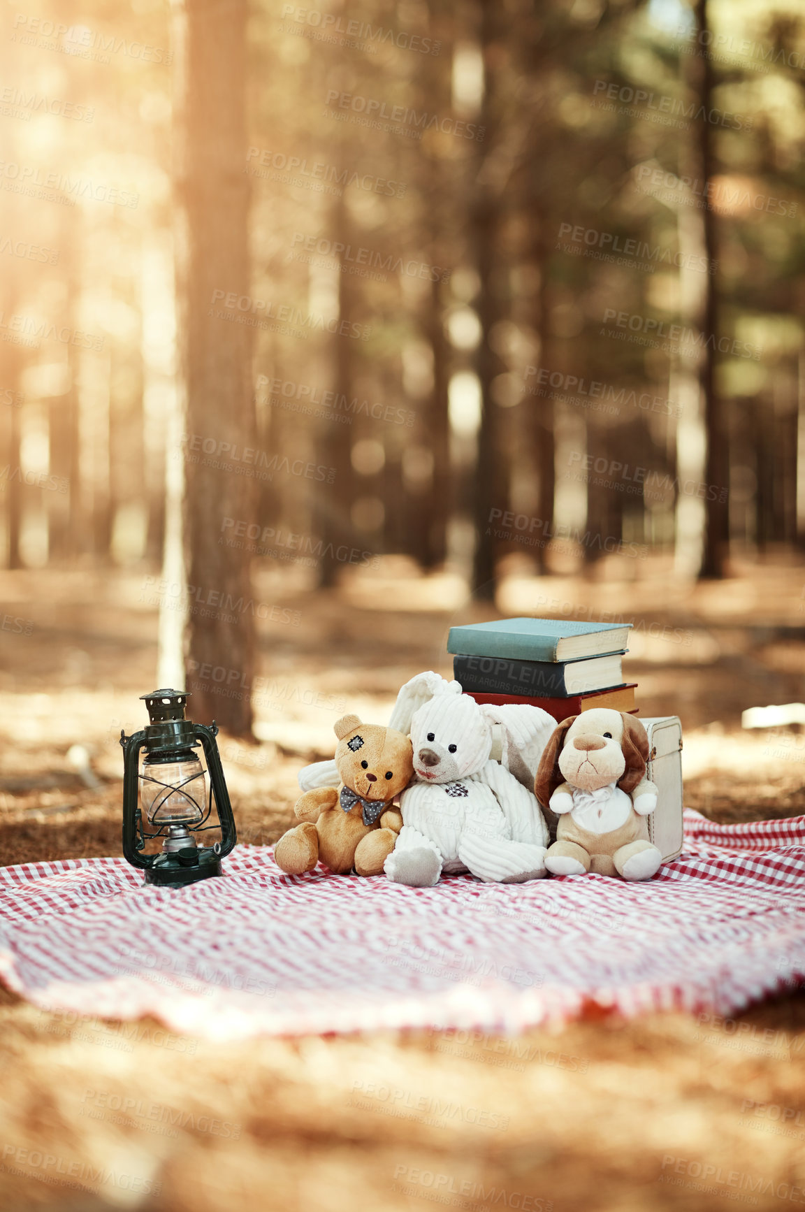 Buy stock photo Teddy bear, books and blanket in forest for picnic, fantasy and fairytale story in nature. Toy collection, storytelling and basket in woods for relax, literature and play time with trees for shade