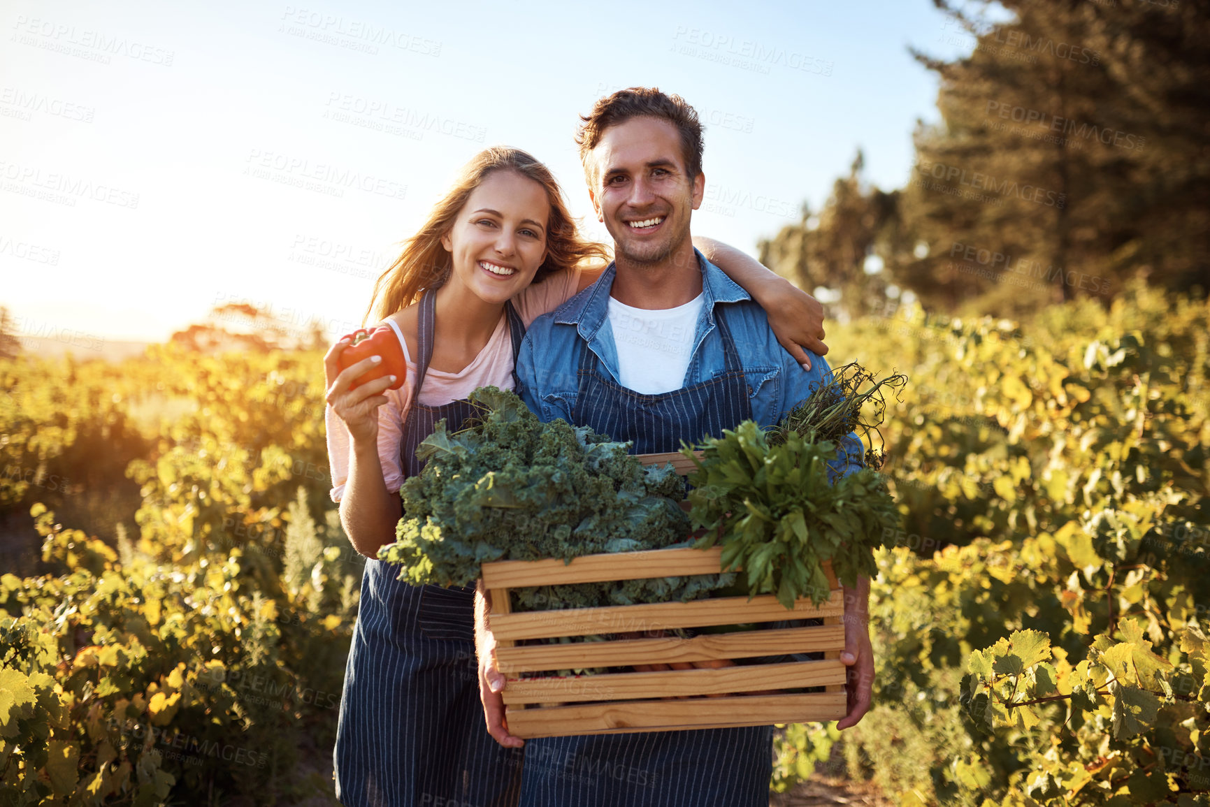 Buy stock photo Cropped portrait of an affectionate young couple working together on a farm