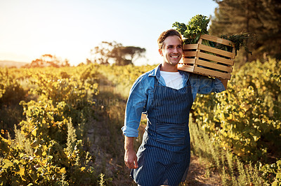 Buy stock photo Cropped portrait of a handsome young man holding a crate full of freshly picked produce on a farm