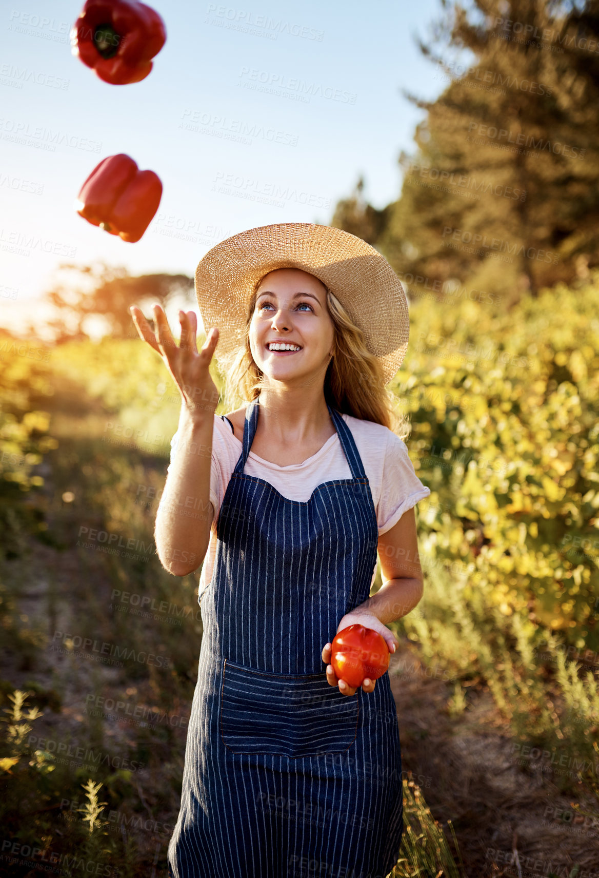 Buy stock photo Farmer, juggling and peppers with woman in field to harvest organic produce in season. Growth, smile and vegetation with playful person outdoor in fun countryside for agro or agribusiness work