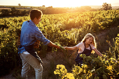 Buy stock photo Cropped shot of a handsome young man and an attractive young woman working together on a farm