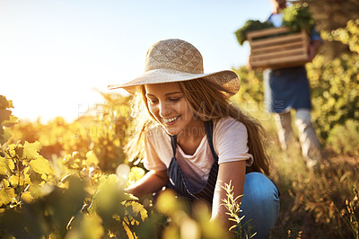 Buy stock photo Cropped shot of an attractive young woman working on a farm with a male colleague in the background