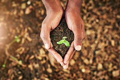 Buy stock photo High angle shot of an unrecognizable person holding a plant growing in soil