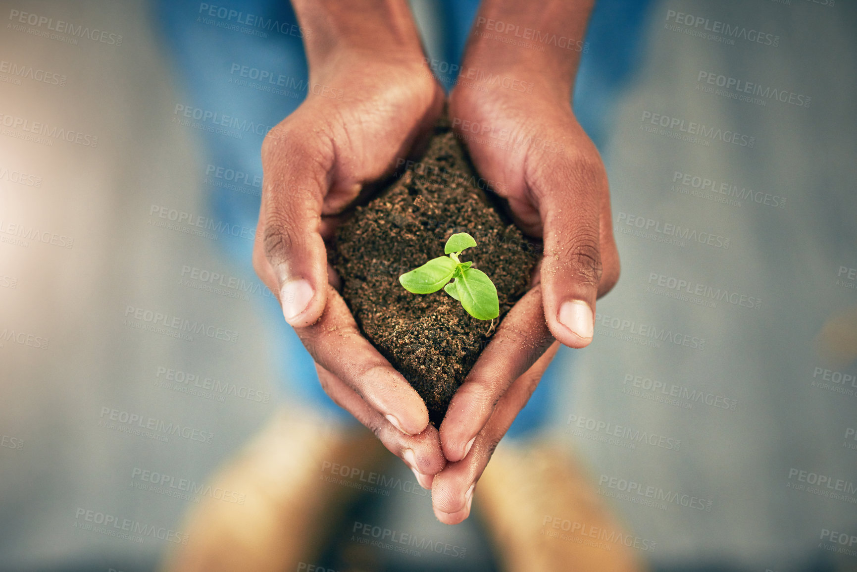 Buy stock photo High angle shot of an unrecognizable person holding a plant growing in soil