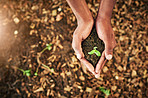 Nature in the palm of your hand