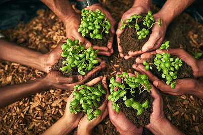 Buy stock photo Palms, people and plants growth in soil for earth day, environment support and teamwork of ngo business. Hands, circle charity and collaboration of leaf agriculture, helping and investing opportunity