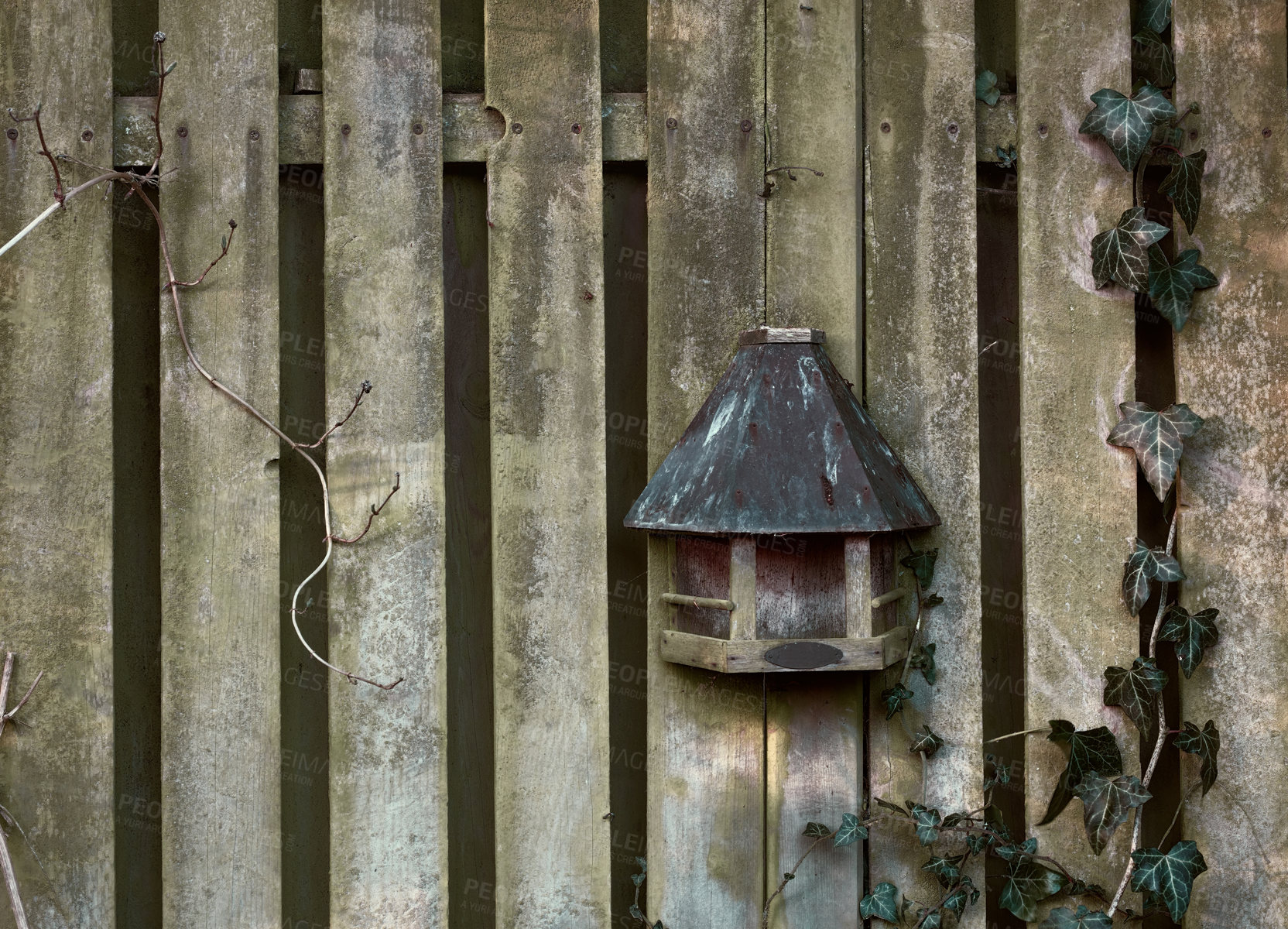 Buy stock photo An old creepy wooden fence on a summer day in a remote village. A spooky barricade on a Halloween morning with a chilling feel. An eerie barrier with a strange antique rustic birdhouse on it