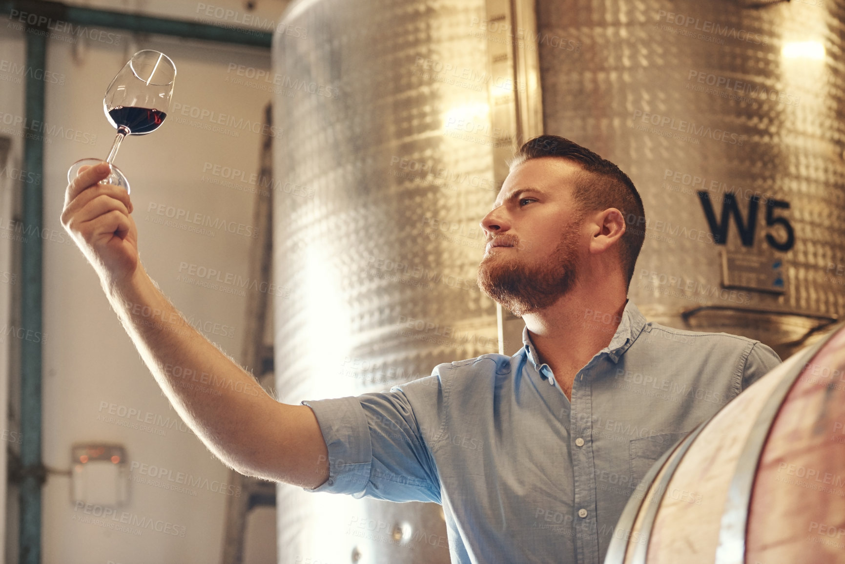 Buy stock photo Basement, glass and small business with man in wine cellar for industry, manufacturing or production. Barrel, storage and test with sommelier at winery for distillation or fermentation of alcohol