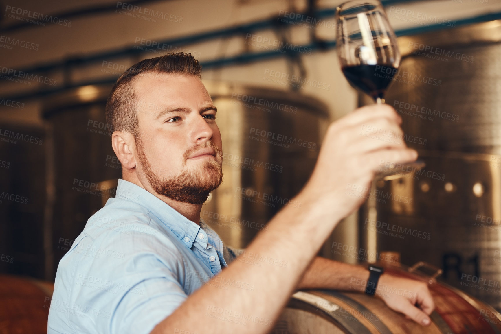 Buy stock photo Proud, glass and test with man in wine cellar for industry, manufacturing or production. Barrel, business and complete with serious sommelier at winery for distillation or fermentation of alcohol