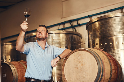 Buy stock photo Complete, glass and smile with man in wine cellar for industry, manufacturing or production. Barrel, business and pride with happy sommelier at winery for distillation or fermentation of alcohol