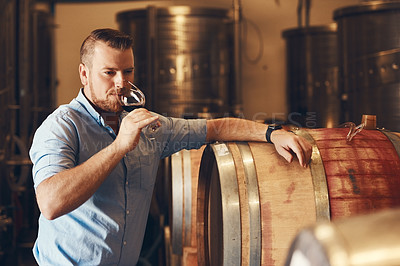Buy stock photo Glass, taste and test with man in wine cellar for industry, manufacturing or production. Barrel, business and storage with sommelier drinking alcohol at winery for distillation or fermentation