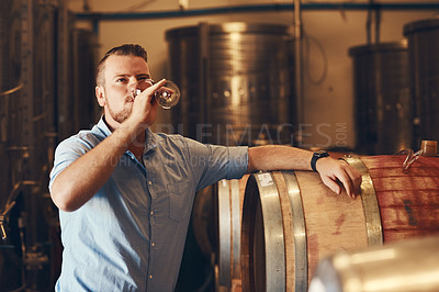 Buy stock photo Drink, glass and taste with man in wine cellar for industry, manufacturing or production. Barrel, business and storage with sommelier testing alcohol at winery for distillation or fermentation