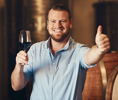 Buy stock photo Portrait, man and wine in cellar with thumbs up, great and yes with smile in distillery. Business owner, happy and excited with hand gesture, beverage and satisfaction after tasting or drink
