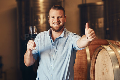 Buy stock photo Portrait, happy man and glass of wine with thumbs up, thank you and agreement with smile in distillery. business owner, excited or hand gesture with beverage, drink or satisfaction after tasting