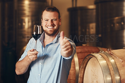 Buy stock photo Cropped portrait of a handsome young man giving thumbs up while enjoying wine tasting in his distillery