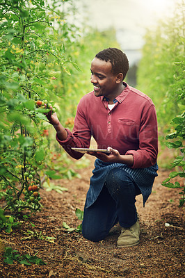 Buy stock photo Shot of a handsome young male farmer using a tablet while checking his crops