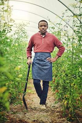 Buy stock photo Black man, portrait and confident at farm with shovel for vegetables, agriculture and crops. Startup, male person and employee with pride for business growth or development as farmer in countryside