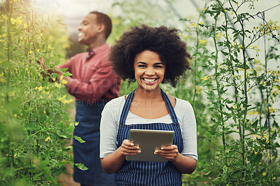 Buy stock photo Cropped portrait of an attractive young female farmer using a tablet while checking her crops