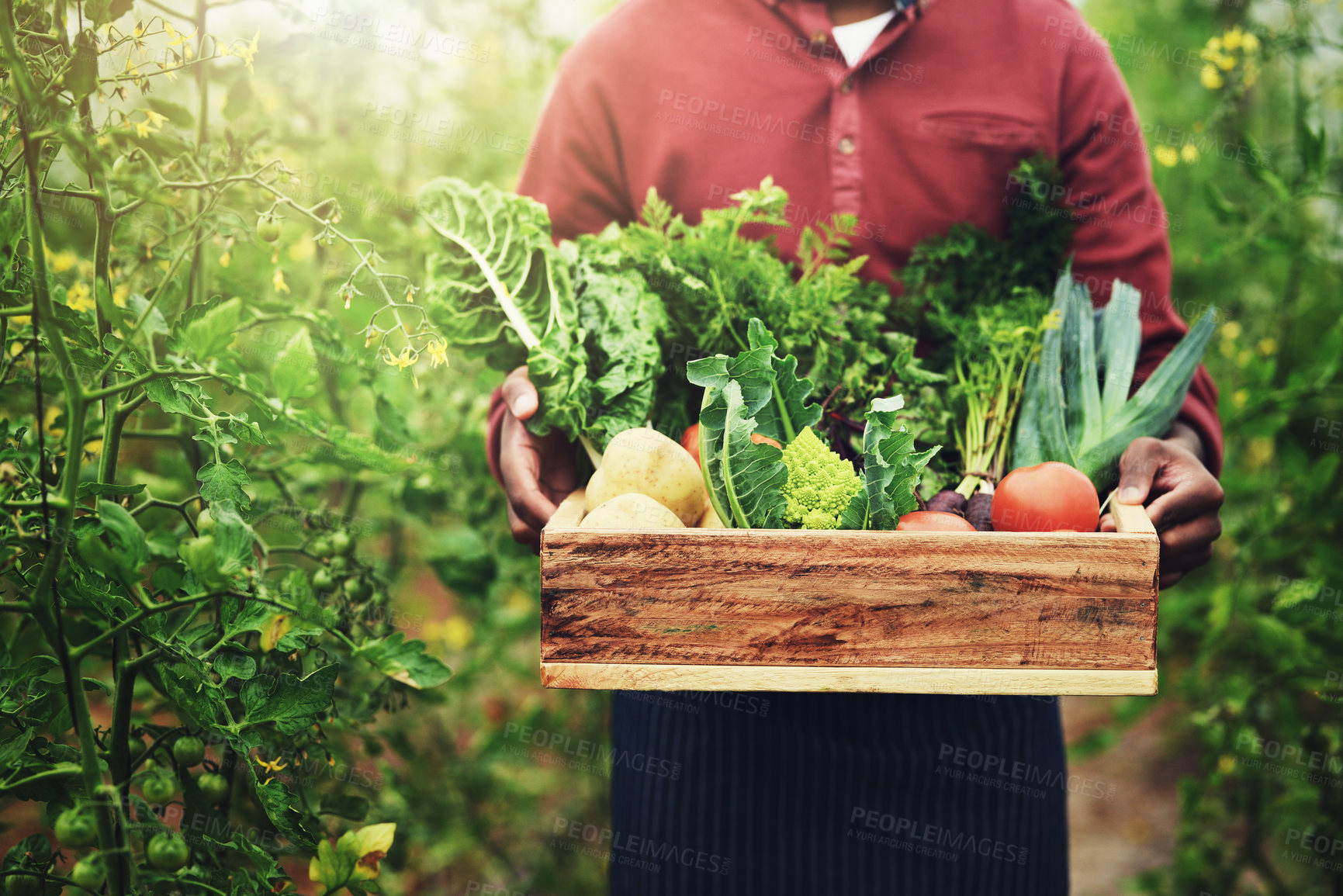 Buy stock photo Shot of an unrecognizable male farmer carrying a crate of fresh produce