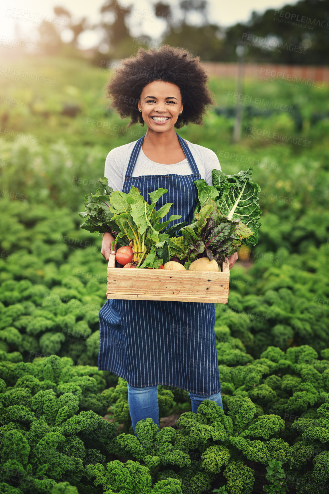 Buy stock photo Agriculture, portrait and box with woman on farm for sustainability, environment and food supplier. Growth, plants and eco friendly with person in countryside for permaculture and soil health