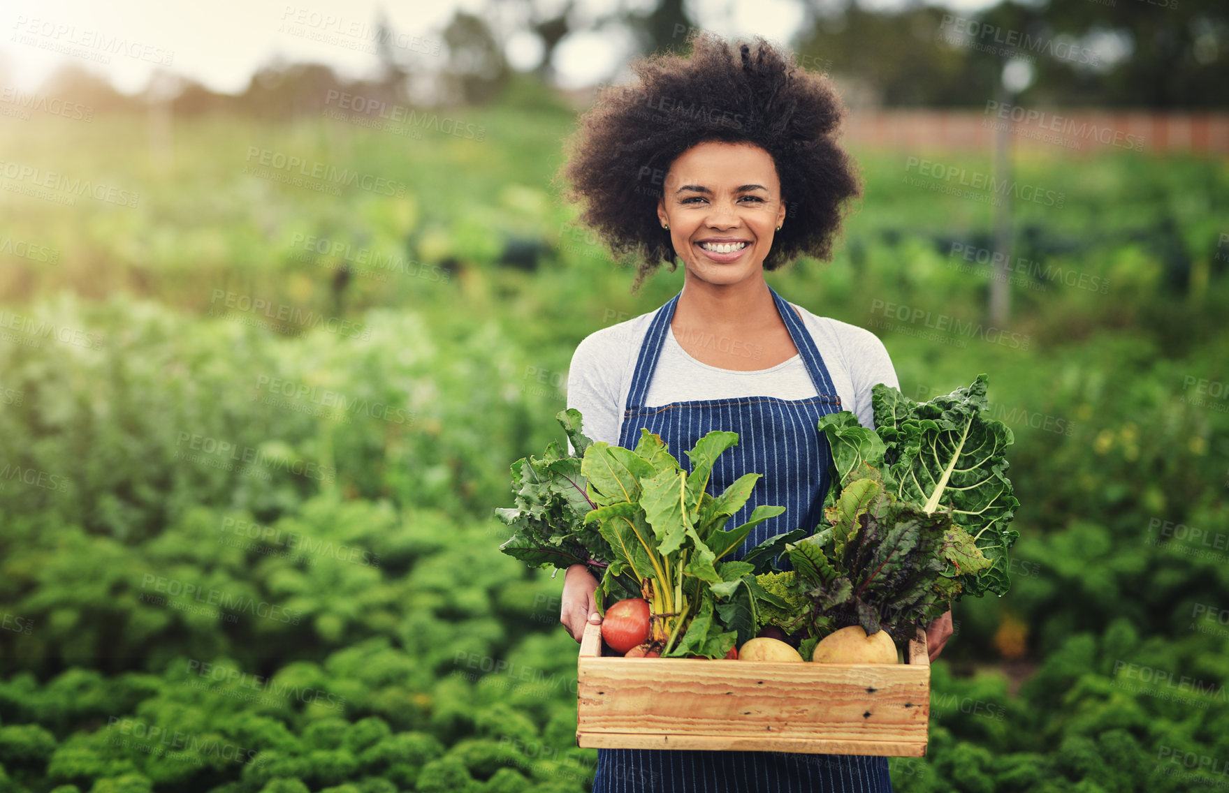 Buy stock photo Farming, portrait and vegetables with woman in field for sustainability, environment and food supplier. Growth, plants and agriculture with person in countryside for permaculture and soil health