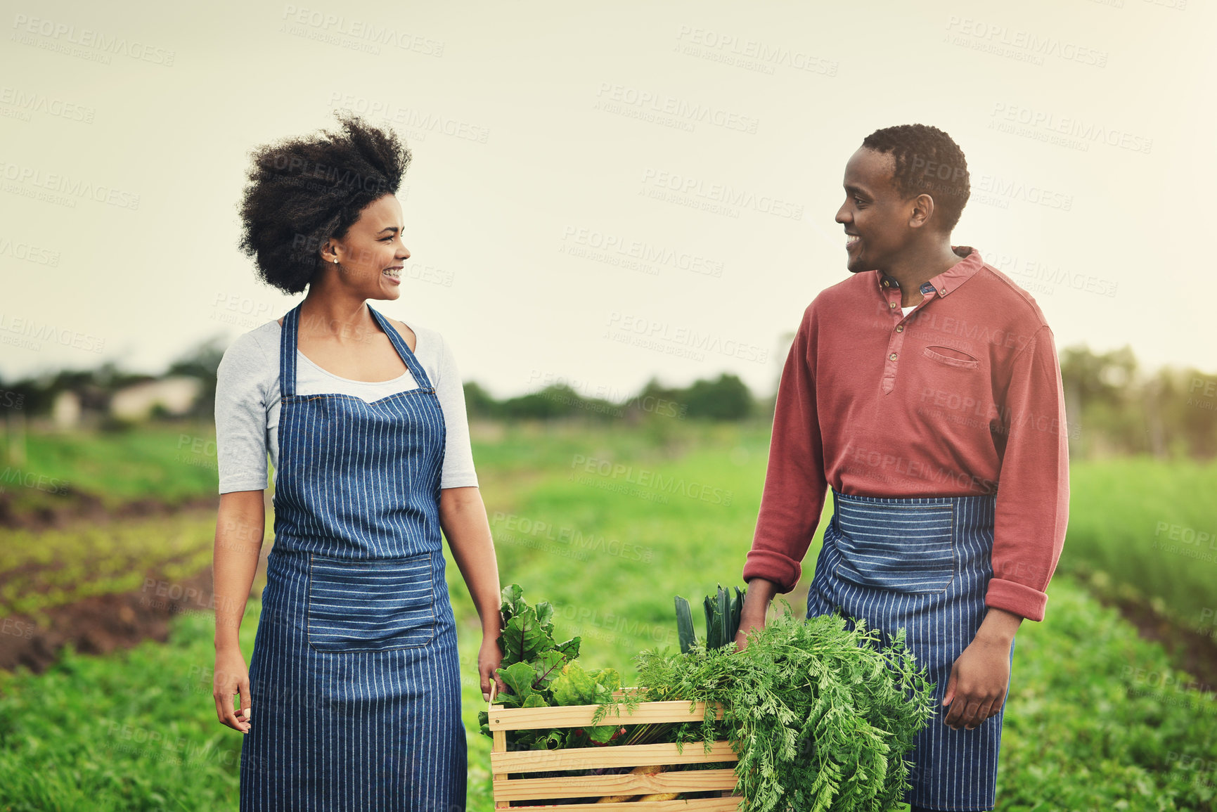 Buy stock photo African couple, farmer and vegetables in box for agriculture, harvest or organic food production. Plants, happy man and woman at farm with crate for growth, agro and help at garden in countryside