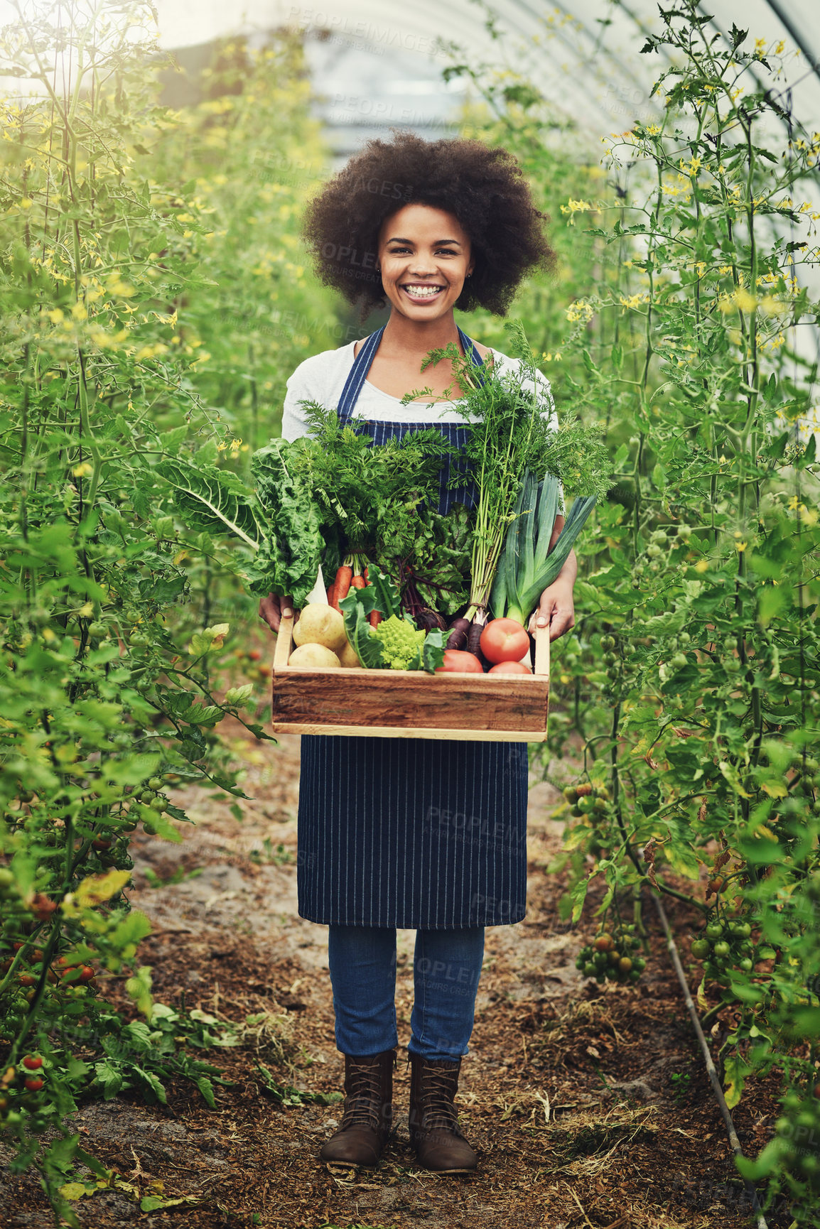 Buy stock photo Portrait, basket and woman with vegetables in greenhouse for sustainable, gardening and production. Worker, smile and crate with agriculture in nature for eco friendly, cultivation or organic harvest