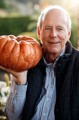 Buy stock photo Portrait, pumpkin and thanksgiving with senior man outdoor in garden for celebration or festive event. Face, happy and vegetable with old person in USA for July holiday or tradition in autumn season