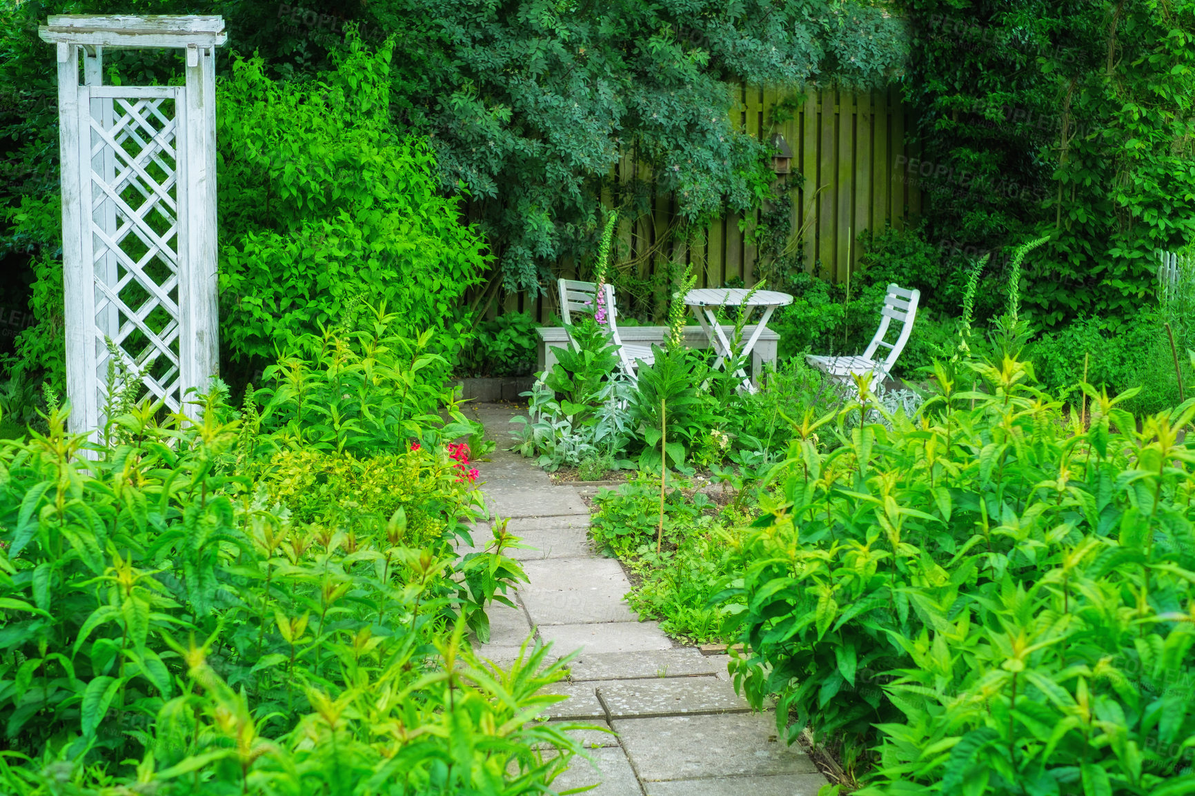 Buy stock photo A beautiful lush green garden with a table and chairs in a backyard on a summer's day. Vibrant park with scenic views of nature in a peaceful, tranquil spot. Venue for a zen picnic or lunch date 