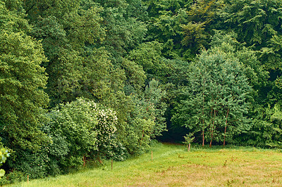 Buy stock photo Springtime images of garden, forest and landscape