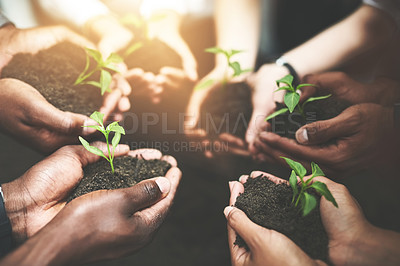 Buy stock photo Cropped shot of a group of people holding plants growing out of soil