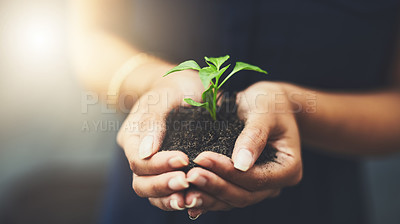 Buy stock photo Cropped shot of a woman holding a plant growing out of soil