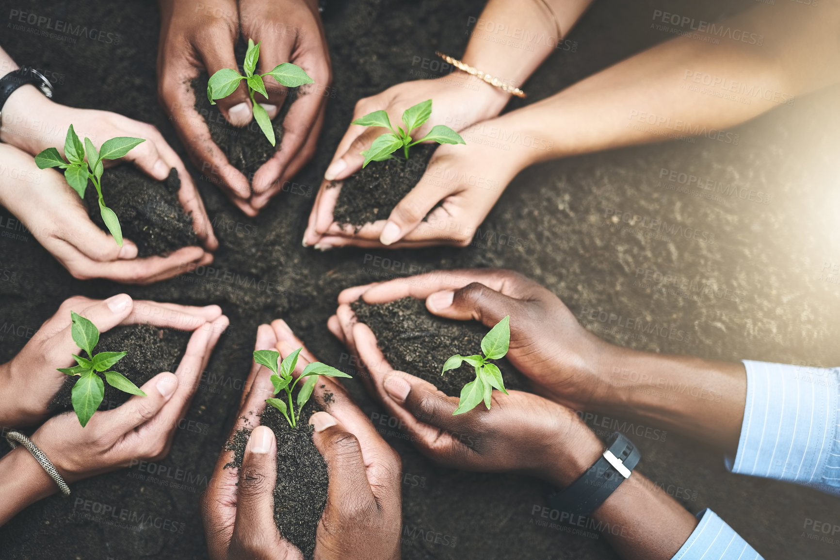 Buy stock photo Soil, hands and seedling for planting, growth and development for support, future and conservation. Sustainability, people and nature for green, ecology and climate change awareness for eco friendly