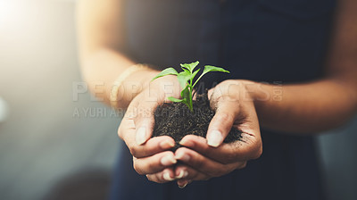 Buy stock photo Person, plant and soil in hands for job accountability, sustainability or investment growth. Environment, eco friendly and hope for future with employee, opportunity and going green with profit