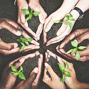 Let's Get Growing Spring Let's get growing | Buy Stock Photo on PeopleImages, Picture And ...