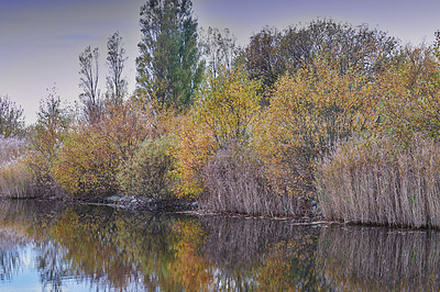 Buy stock photo Scenic view of uncultivated trees, bushes, shrubs and trees around a lake or bay of water in Norway. Landscape of wild flora growing in a remote countryside. Calm, serene, peaceful, quiet nature pond