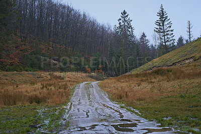 Buy stock photo A pine tree forest landscape with wet clay road in nature during winter. A slippery dirt road in rural countryside area on a cold, overcast, and rainy day in a natural conservation during sunset